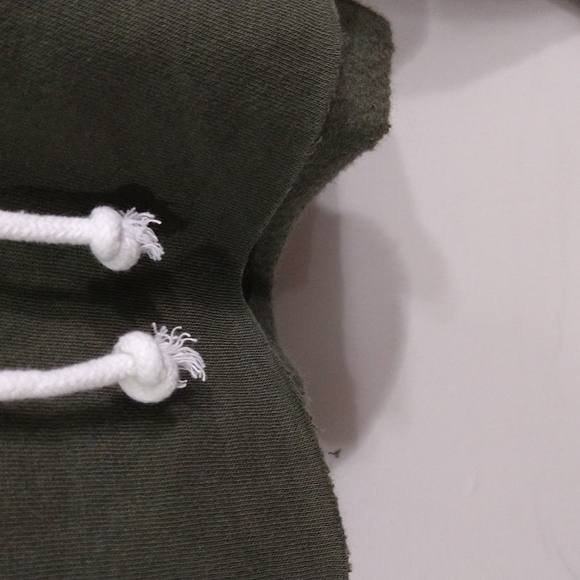 Wilf Fable pullover crop cut hoodie.  NWT - Picture 4 of 5